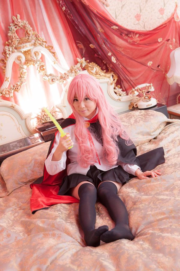 Saotome Love "Zero no Tsukaima" Louise Françoise Le Blanc de La Valliere [@factory]